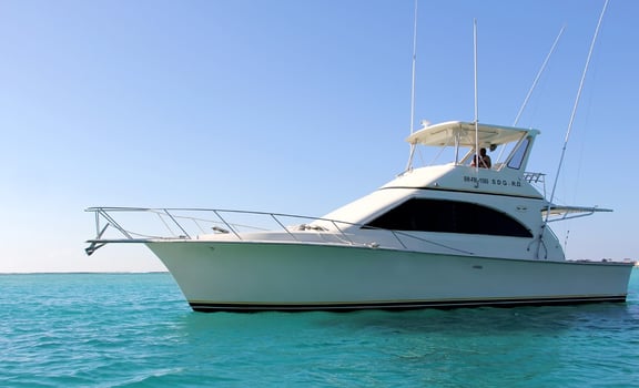 Boat photo for Deep Sea Punta Cana - 42’ Sportfish