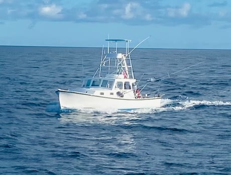 Boat photo for Bermuda Sportfishing Trips + Flims