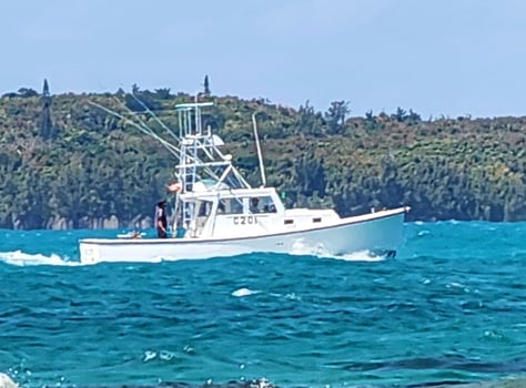 Boat photo for Bermuda Sportfishing Trips + Flims