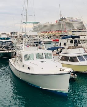 Boat photo for Bermuda Sportfishing Trips + Flims