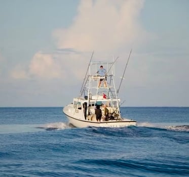Boat photo for Bermuda Sportfishing Trips + Flims