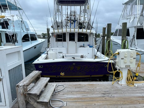 Boat photo for Orange Beach Mixed Bag