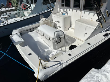 Boat photo for Orange Beach Mixed Bag