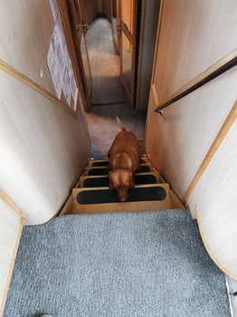 Boat photo for 6 Hr Bottom/Trolling - 55' Gillman