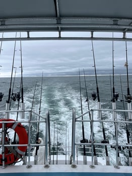 Boat photo for 8hr Deep Sea Fishing 
