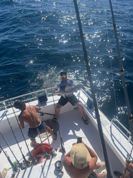 Boat photo for 8hr Deep Sea Fishing 