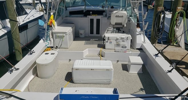 Boat photo for 8 -12 Hour Combo - 36’ Topaz