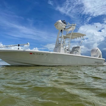 Boat photo for Tripletail Fishing In Apalachicola