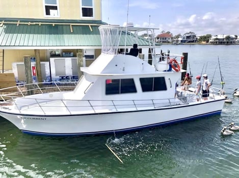 Boat photo for Half Day Bottom Fishing & Trolling