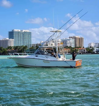 Boat photo for Miami Beach Mixed Bag