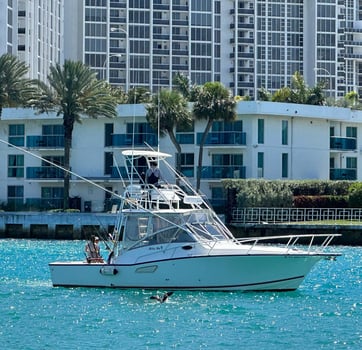 Boat photo for Miami Beach Mixed Bag