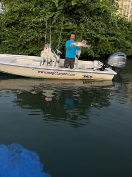 Boat photo for Puerto Rico Tarpon Adventure - 22'