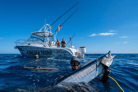 Boat photo for Blue Water Fishing