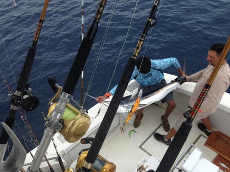 Boat photo for South Texas Offshore Adventure