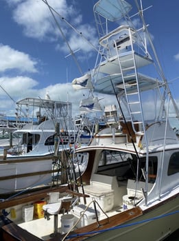 Boat photo for Reef To Offshore: Fishing Frenzy