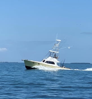 Boat photo for Reef To Offshore: Fishing Frenzy