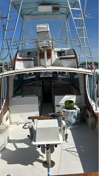 Boat photo for Hot Pursuit In The Gulf Stream