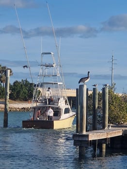 Boat photo for Hot Pursuit In The Gulf Stream
