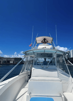 Boat photo for Deep Dropping - 30' Dusky