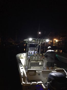 Boat photo for Offshore Excursion - 26' 