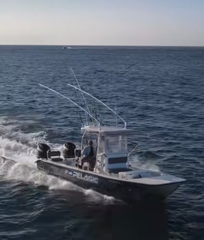 Boat photo for Extreme Reef Trip - 26' Twin Vee