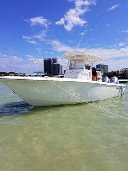 Boat photo for OffShore Trip - 26' Bimini