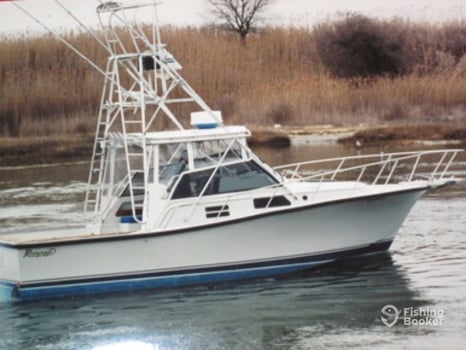 Boat photo for Swordfish Trip - 31' Rampage