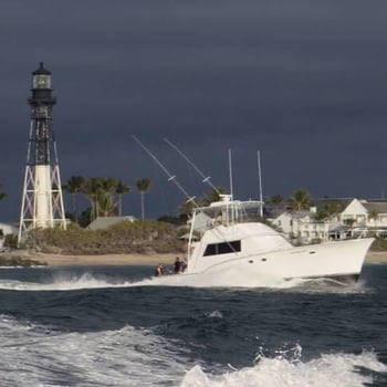 Boat photo for 4 Hour Offshore - 53' Hatteras