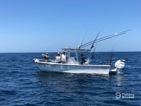 Boat photo for 11 Hour Offshore-24' Pair Custom