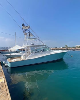 Boat photo for Punta Cana Luxury Trip