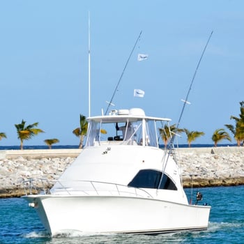 Boat photo for Offshore Blue Marlin FADs Trip