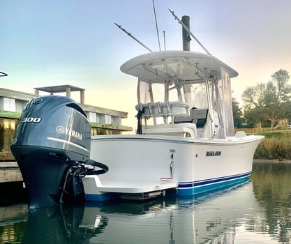 Boat photo for Wilmington Mixed Bag