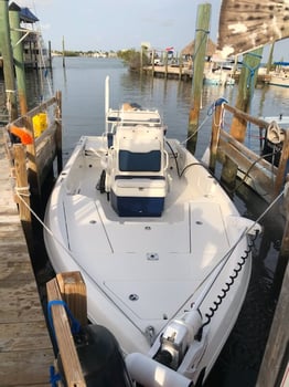 Boat photo for Monster Hunt: Shark & Tarpon