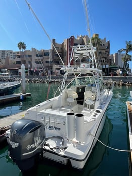Boat photo for Cabo Trophy Hunt - 28’ Cuddy Cabin