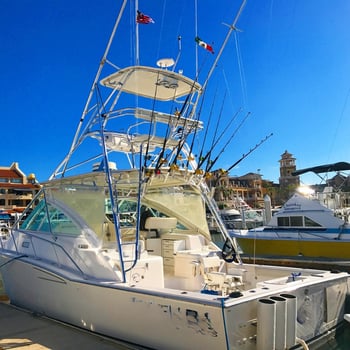 Boat photo for Deep Sea Cabo - 36' Cabo Express