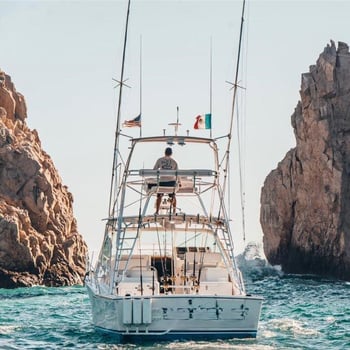 Boat photo for Deep Sea Cabo - 36' Cabo Express