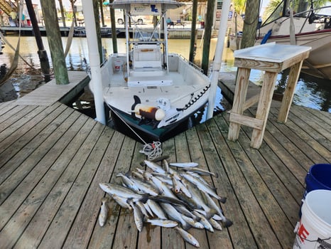 Boat photo for Inshore Fishing In Louisiana