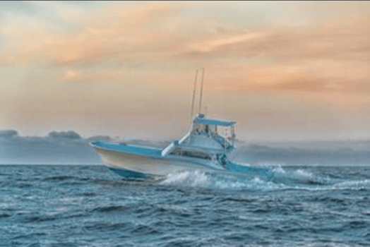 Boat photo for Yellowfin & Mahi Mahi Combo