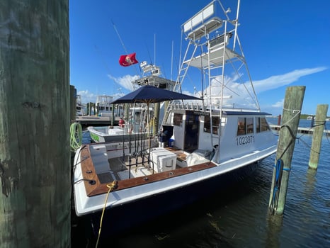 Boat photo for 4-6hr Bottom Fishing