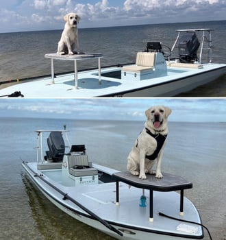 Boat photo for Silver Kings Adventure