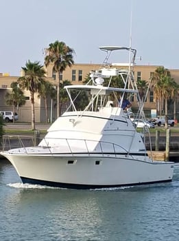 Boat photo for Quick Offshore Special