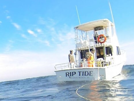 Boat photo for 12 Hr Offshore Deep Sea Fishing 