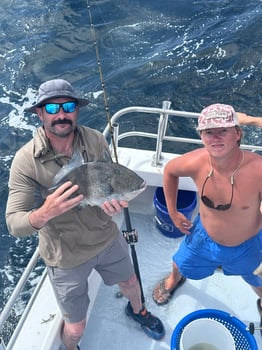 Boat photo for 12 Hr Offshore Deep Sea Fishing 