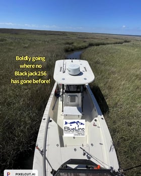 Boat photo for Chandeleur Island - 26' Blackjack