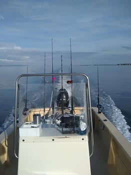 Boat photo for NC Full Day Trip