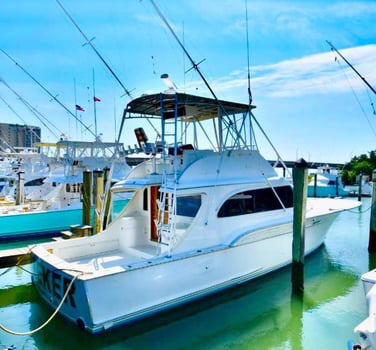 Boat photo for NC Bluewater Special