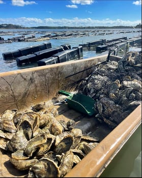 Boat photo for NC Inshore Slam