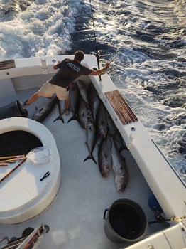 Boat photo for All Day Deep Sea Fishing