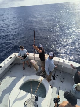 Boat photo for All Day Deep Sea Fishing