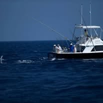 Boat photo for Pacific Fins Villa & Offshore